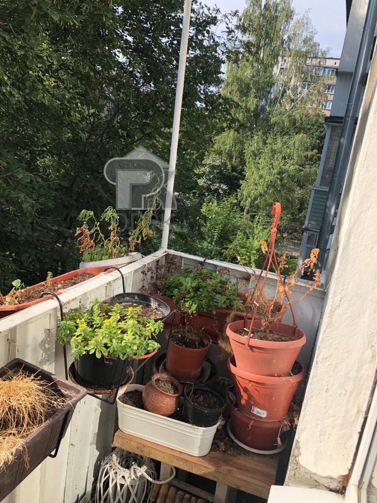 Купить 2-комнатную квартиру, №387558