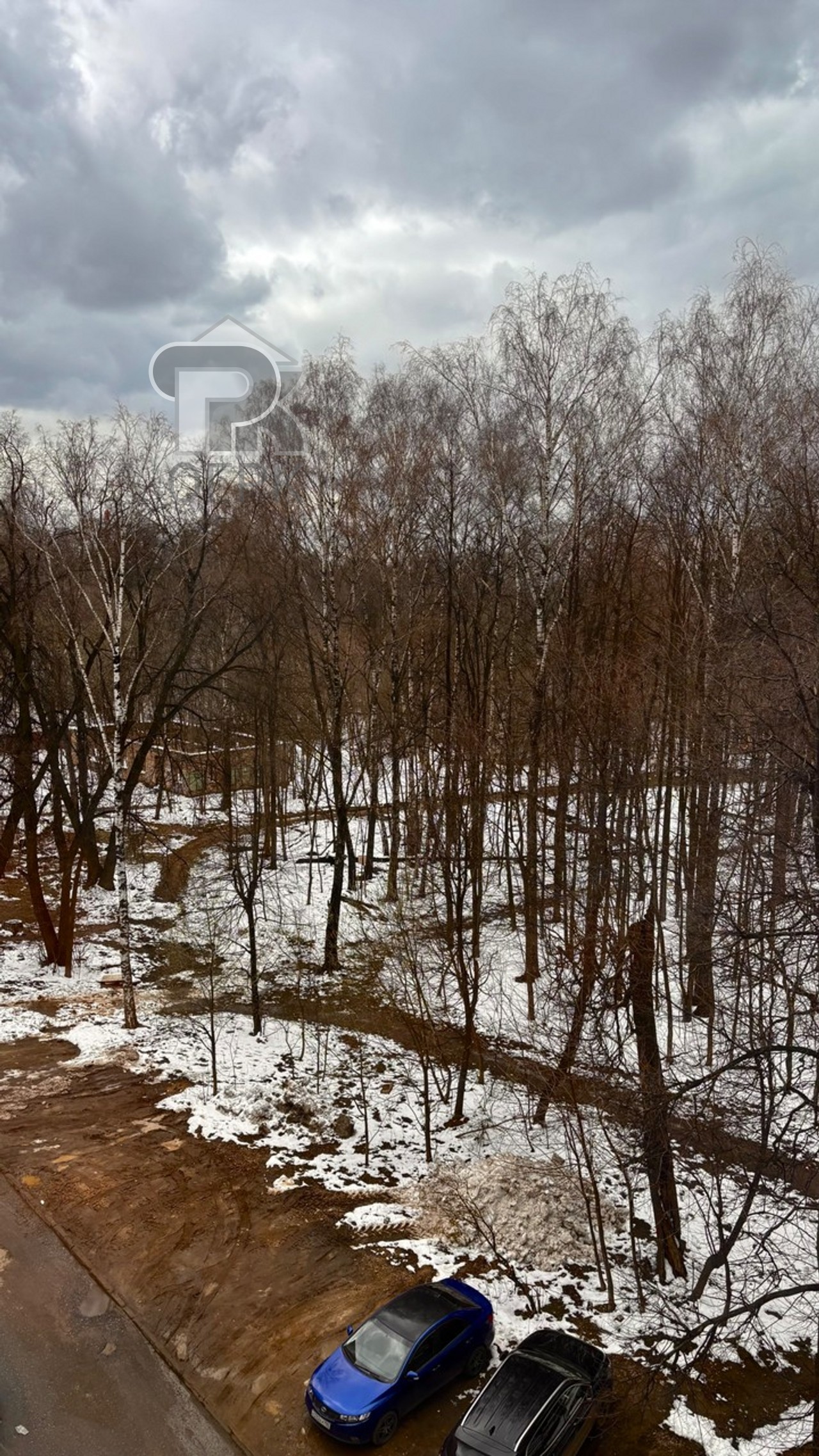 Купить студию, №384771