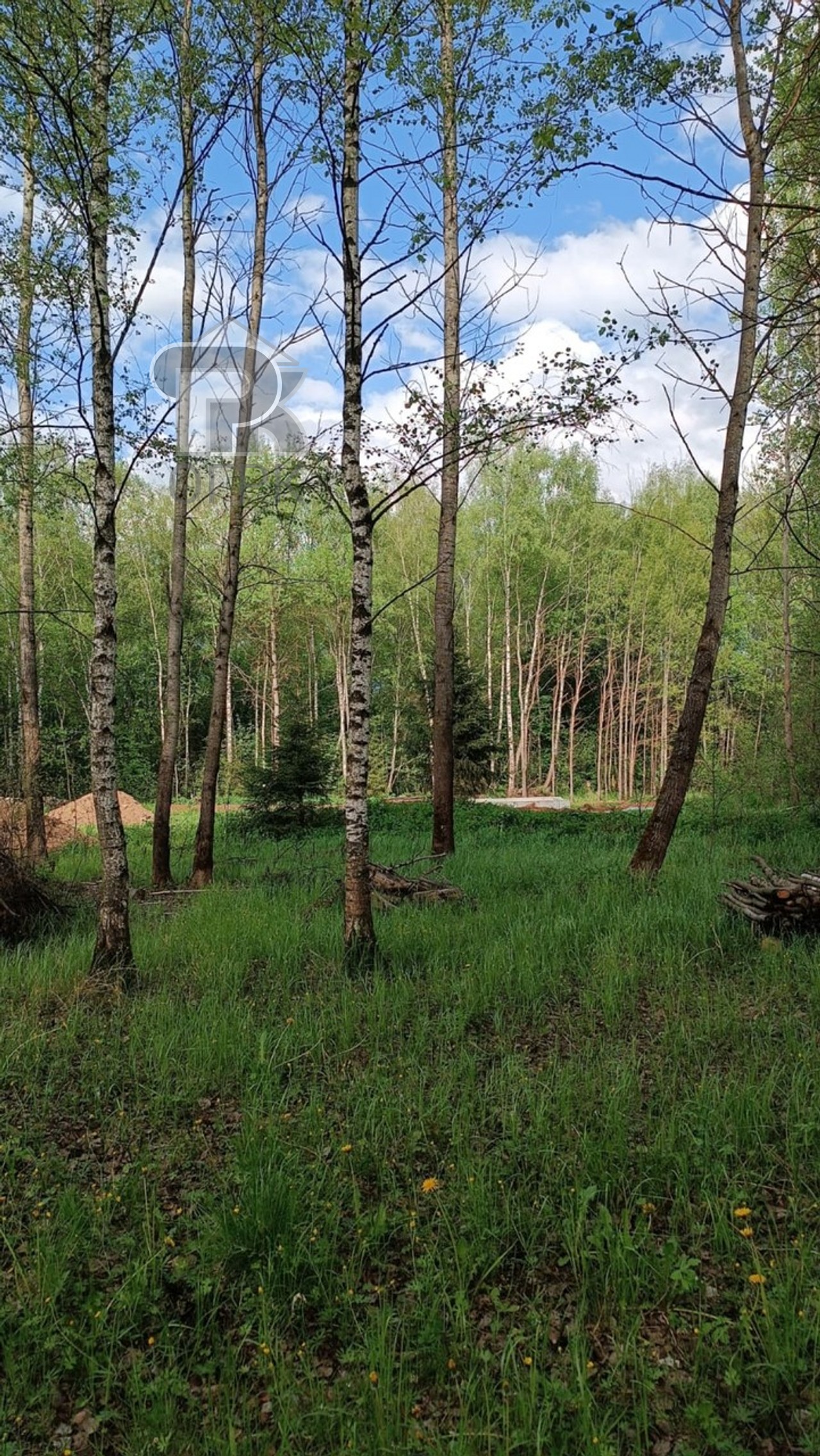 Купить землю, №384782