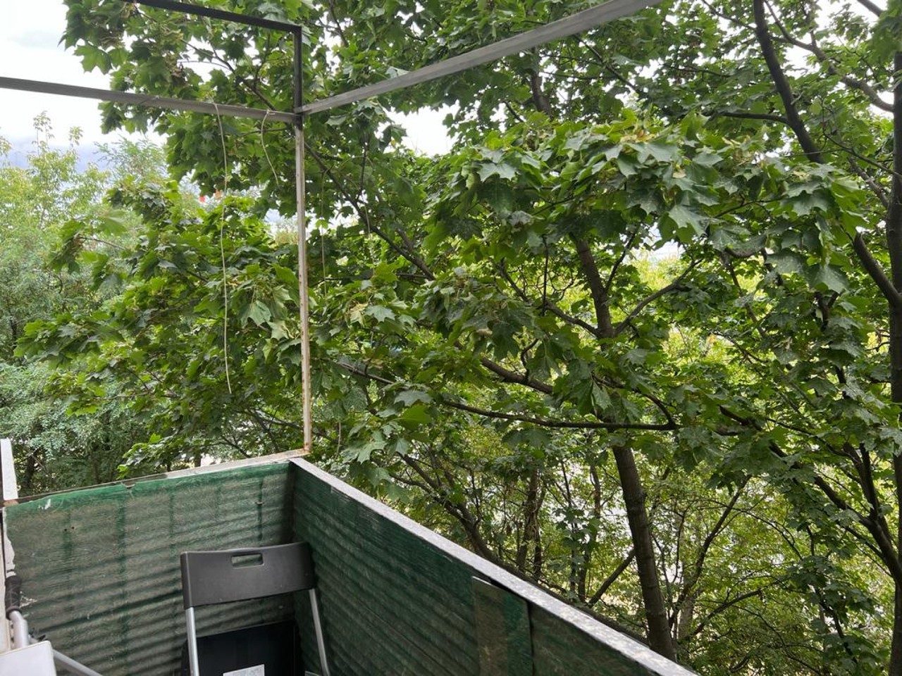 Купить 1-комнатную квартиру, №359250