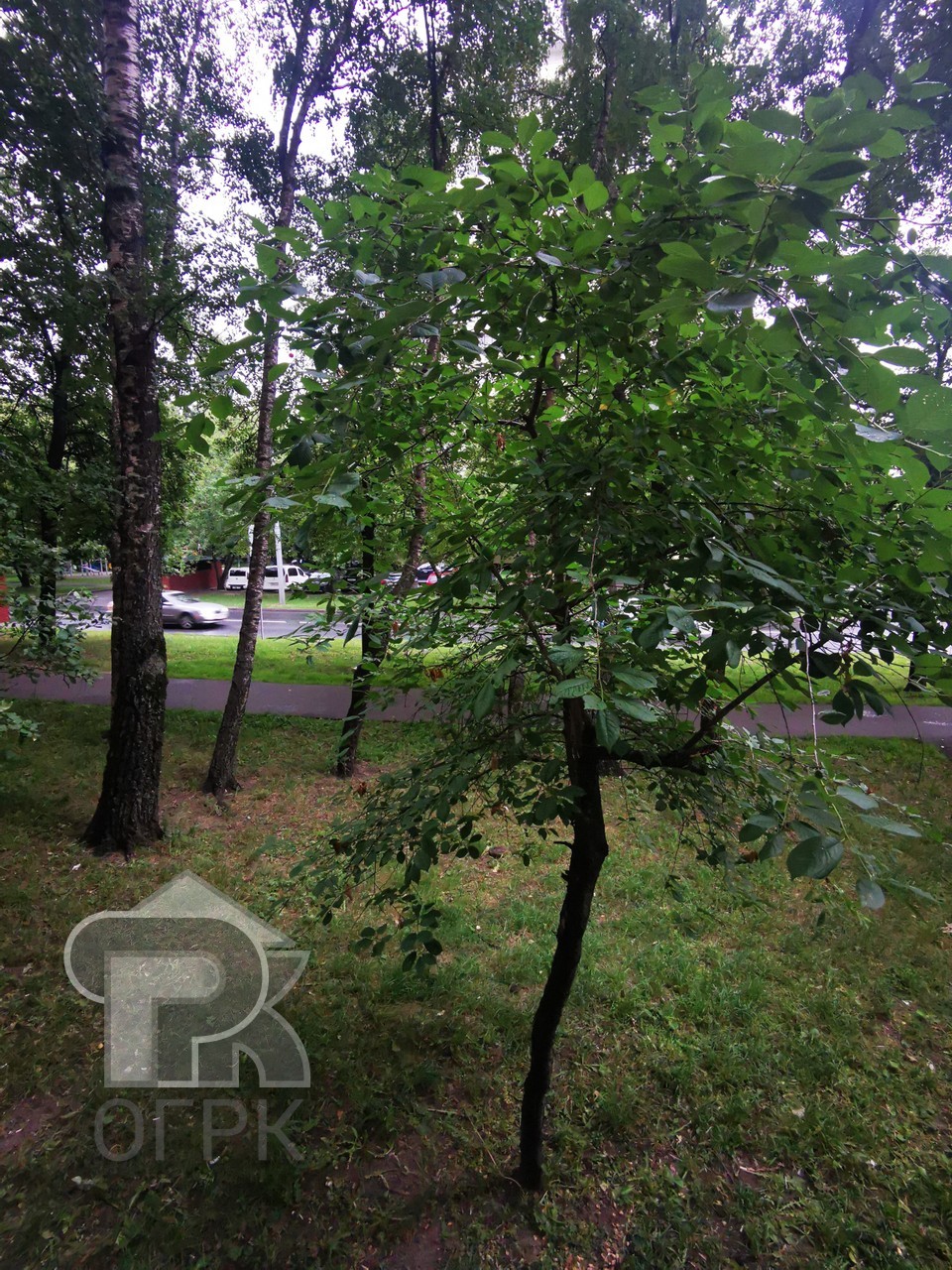 Купить 1-комнатную квартиру, №372988