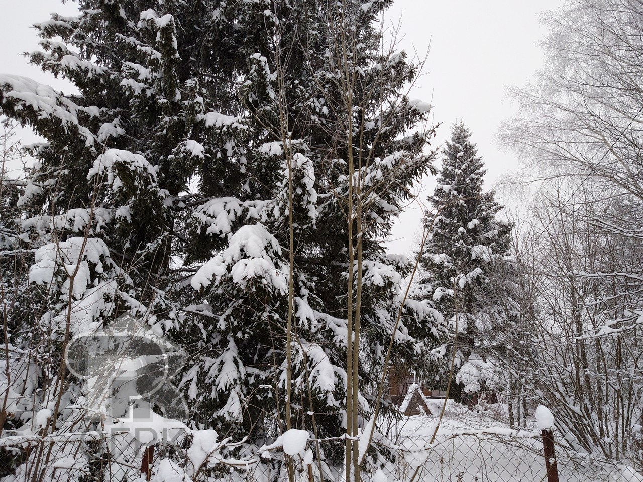 Купить землю, №384368