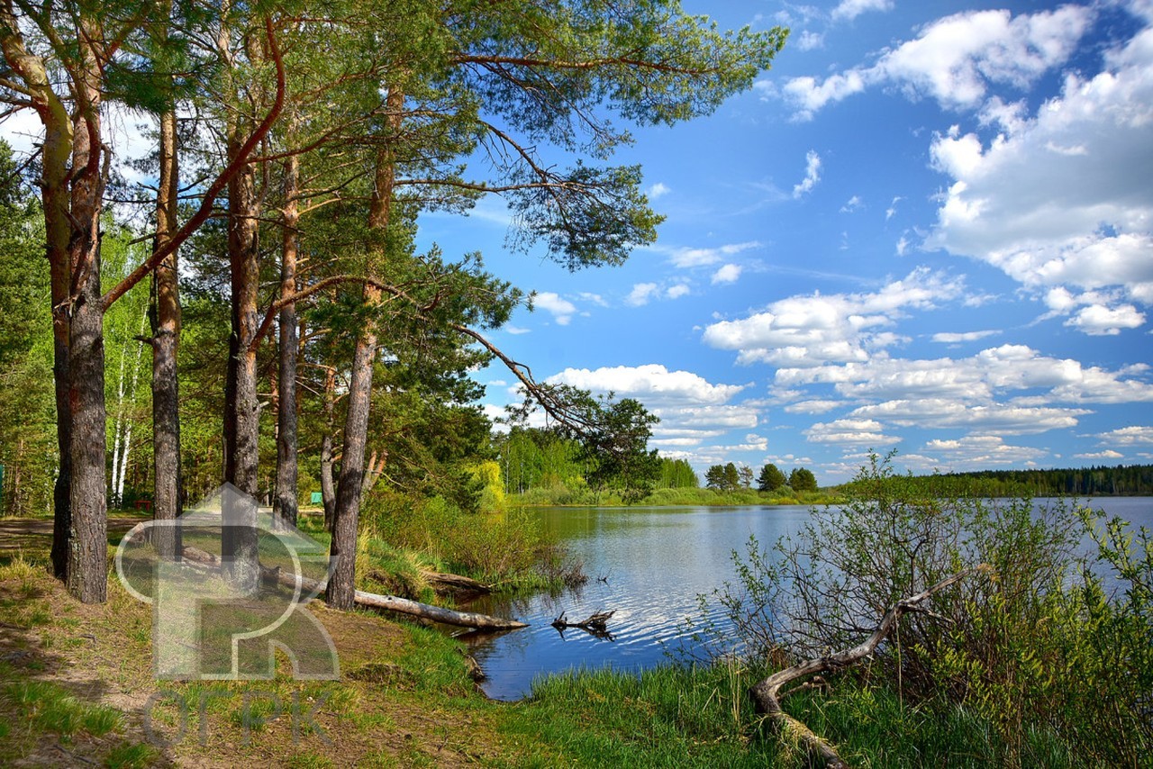 Купить землю, №385790