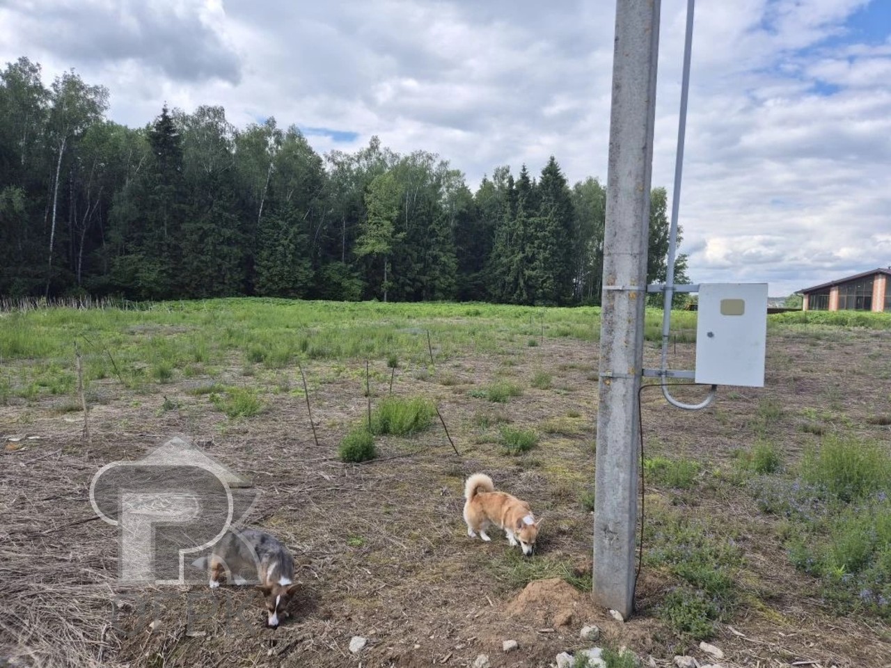 Купить землю, №389061