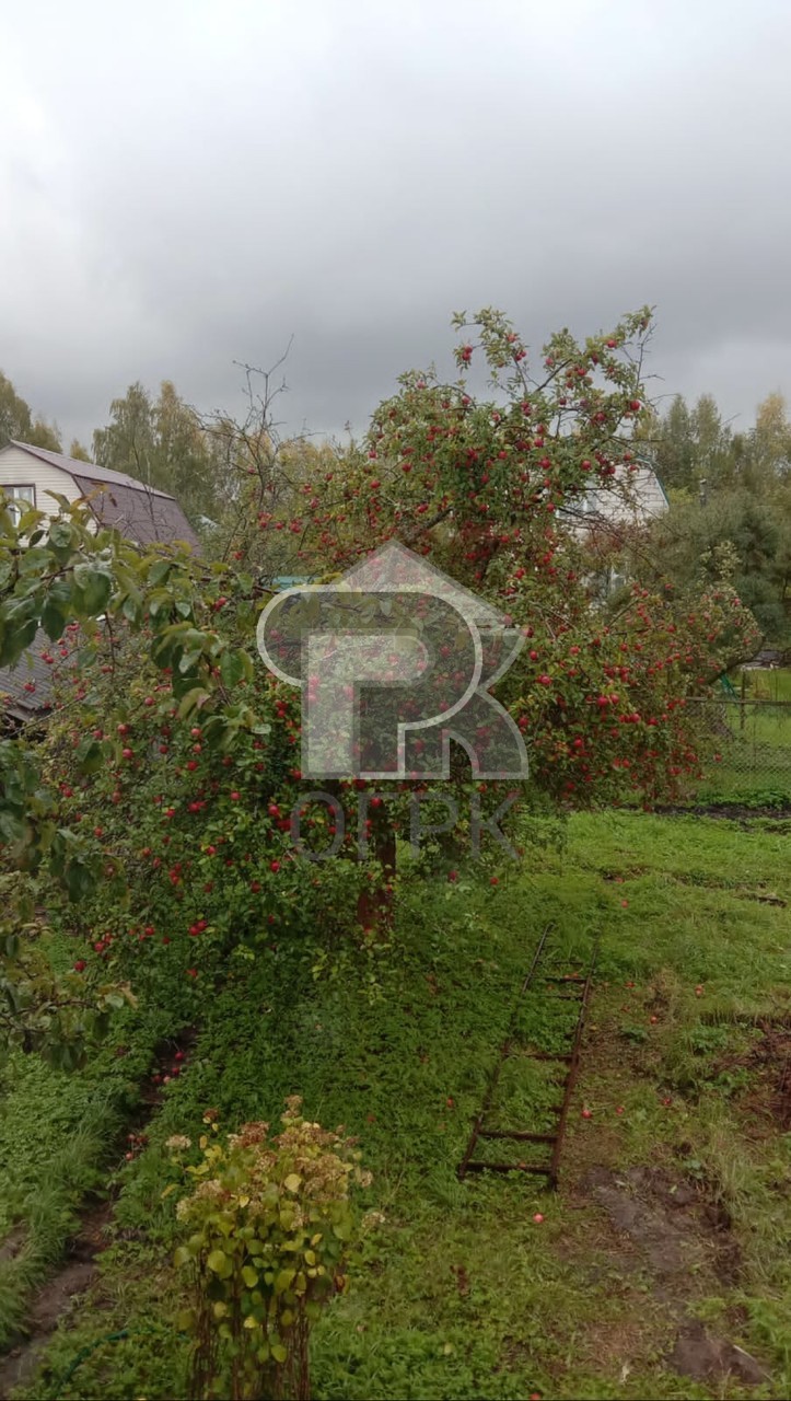 Купить дом, №387210