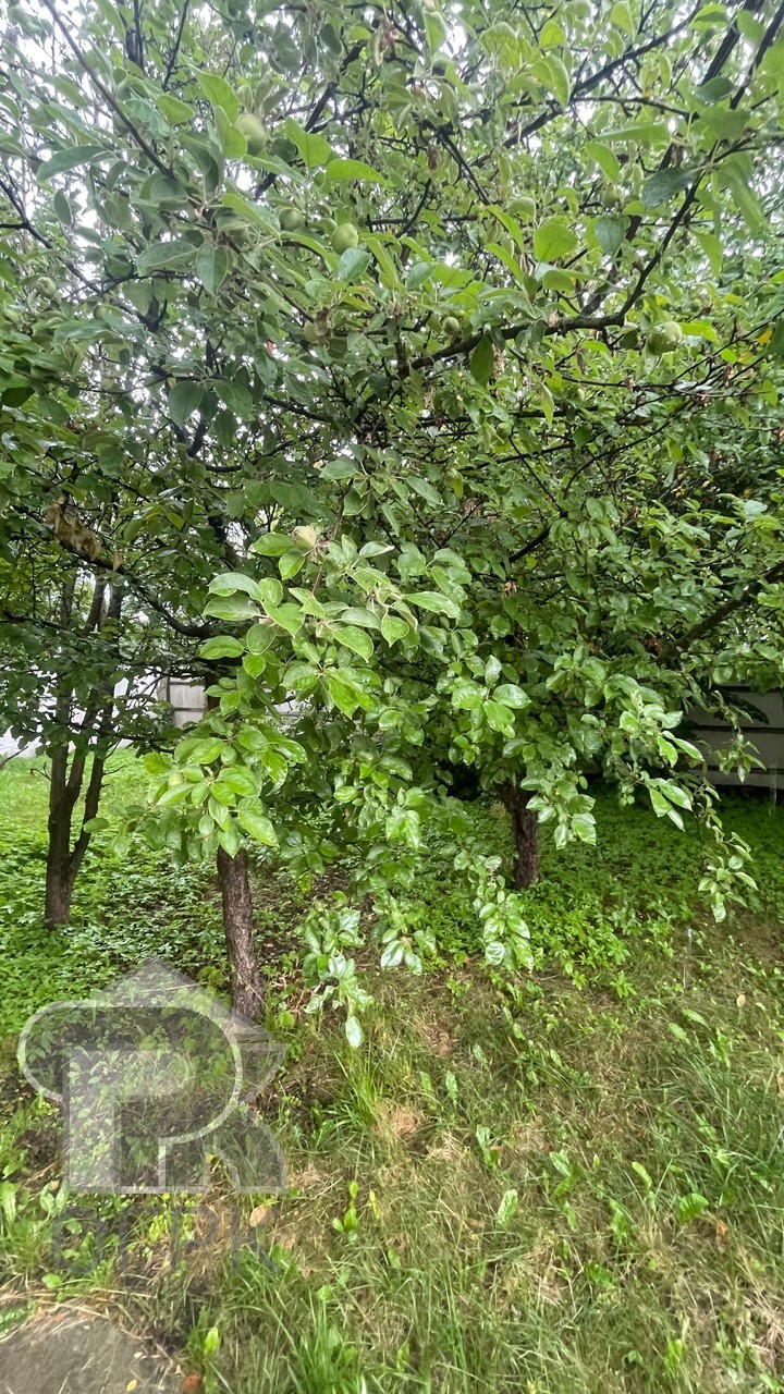 Купить дом, №390745