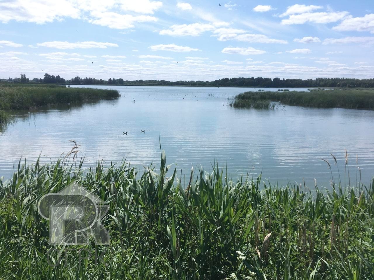 Купить 1-комнатную квартиру, №387398