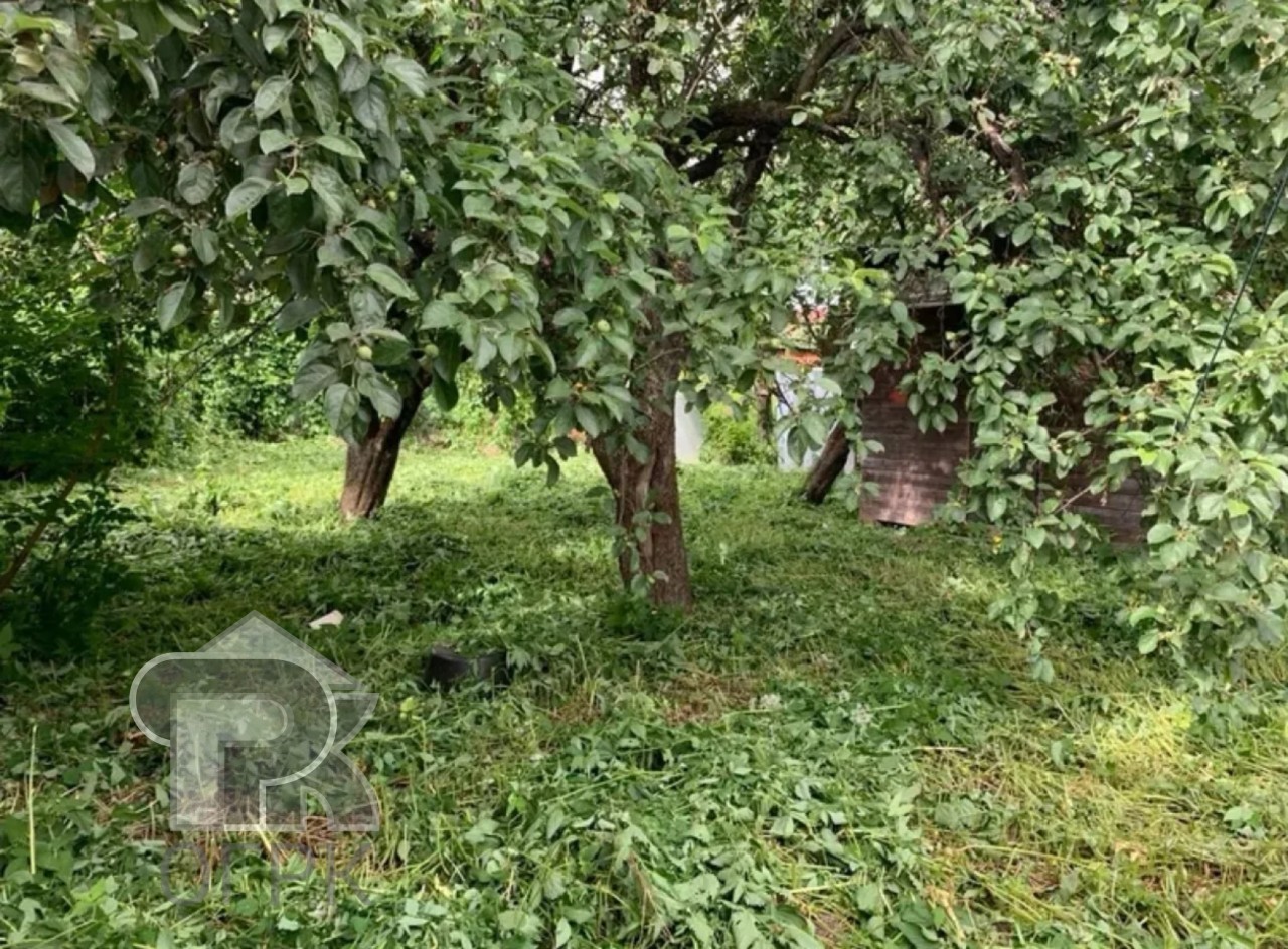 Купить землю, №388970