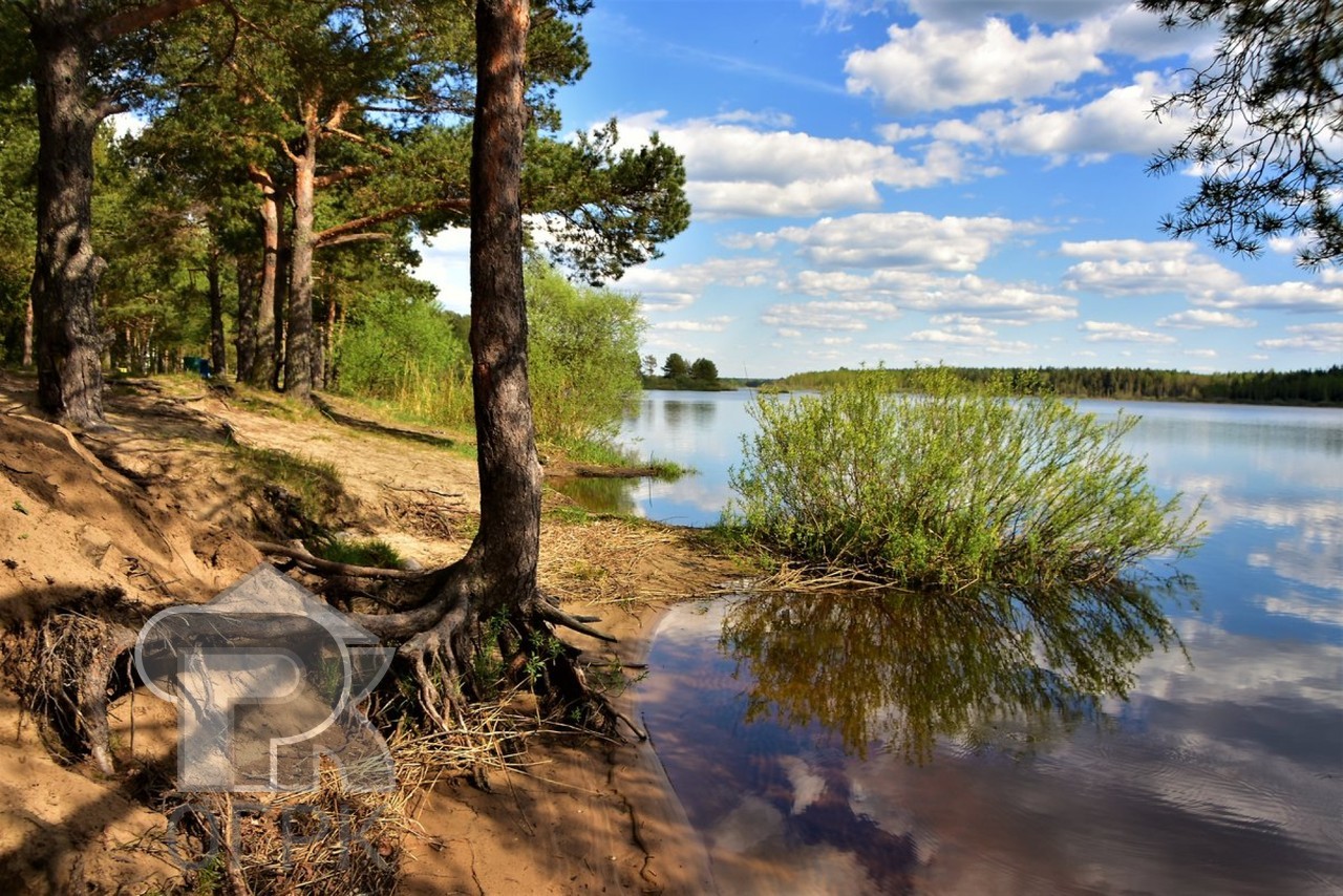 Купить землю, №385790