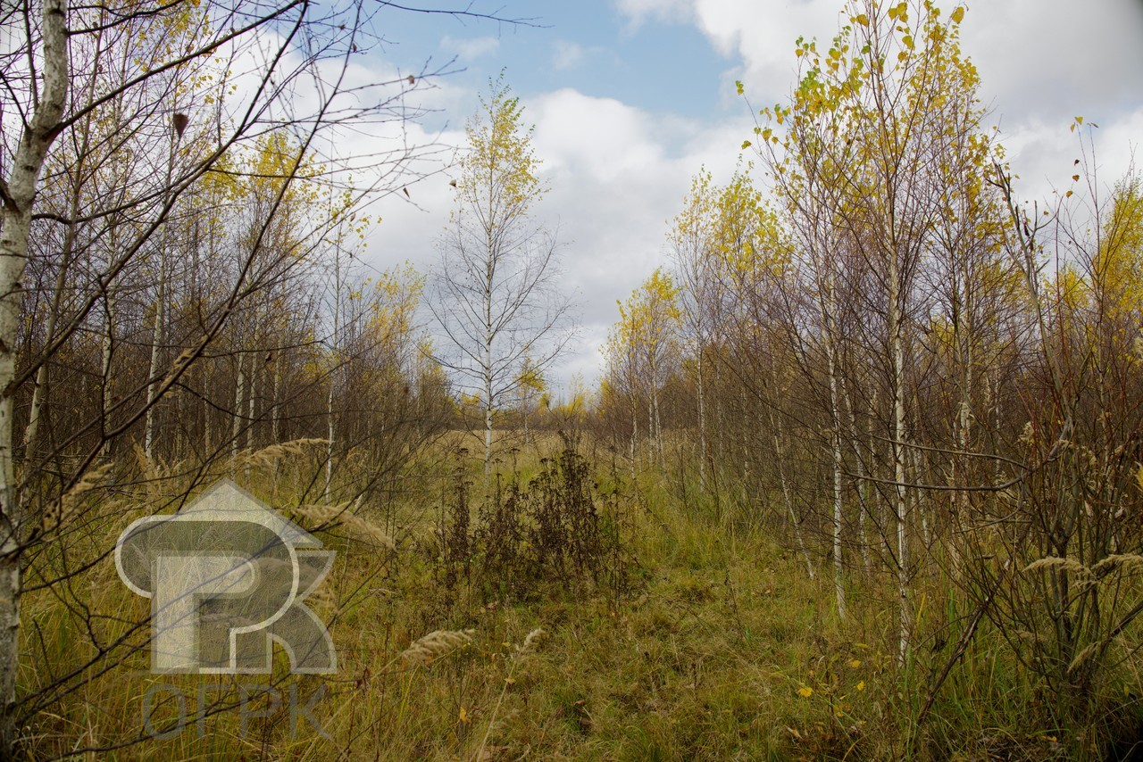 Купить землю, №387313