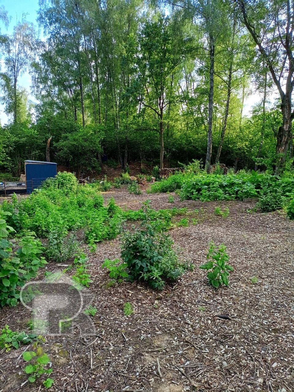 Купить землю, №386978