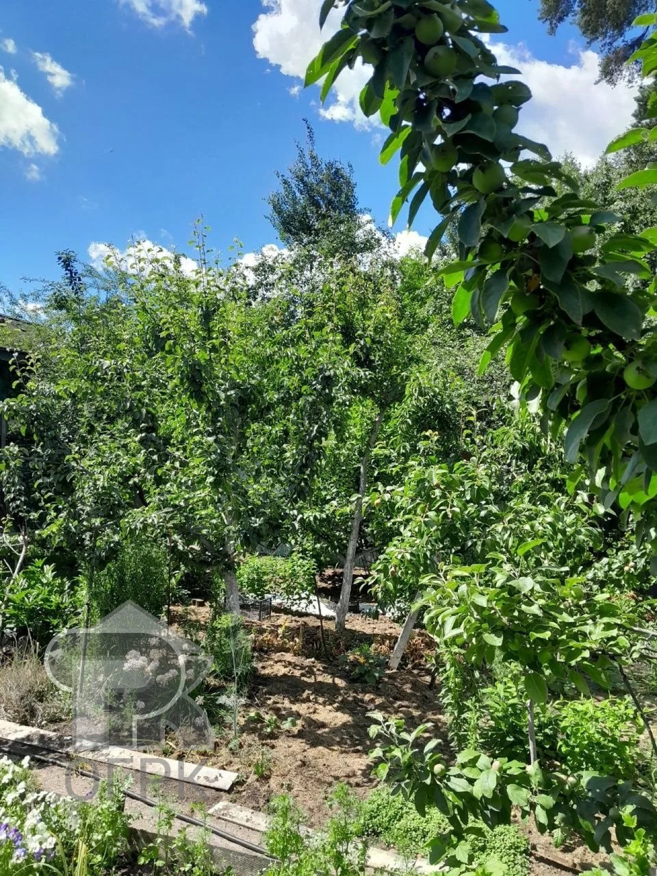 Купить дом, №389351