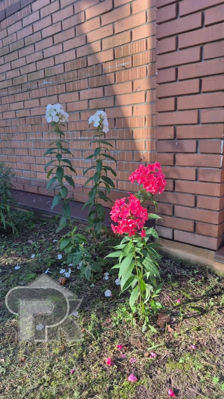 Купить дом, №389743