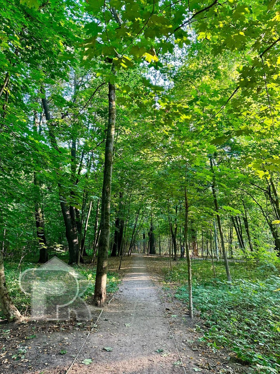 Купить студию, №383434