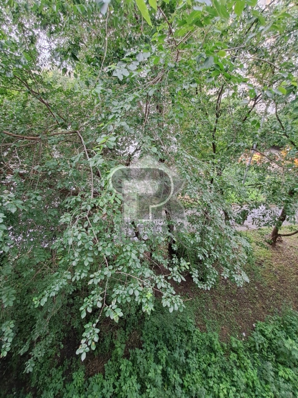 Купить 1-комнатную квартиру, №390388