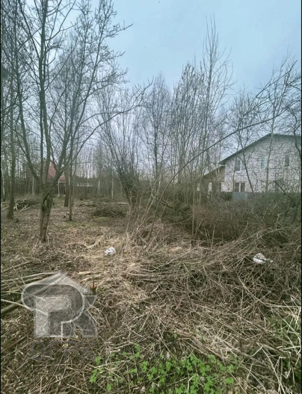 Купить землю, №392664