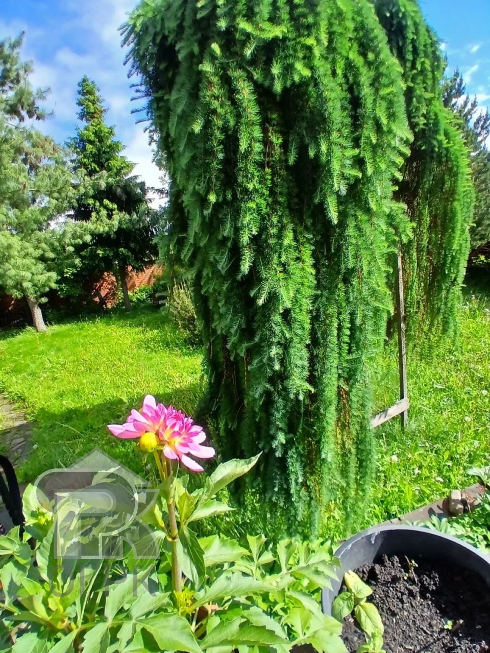 Купить дом, №390070