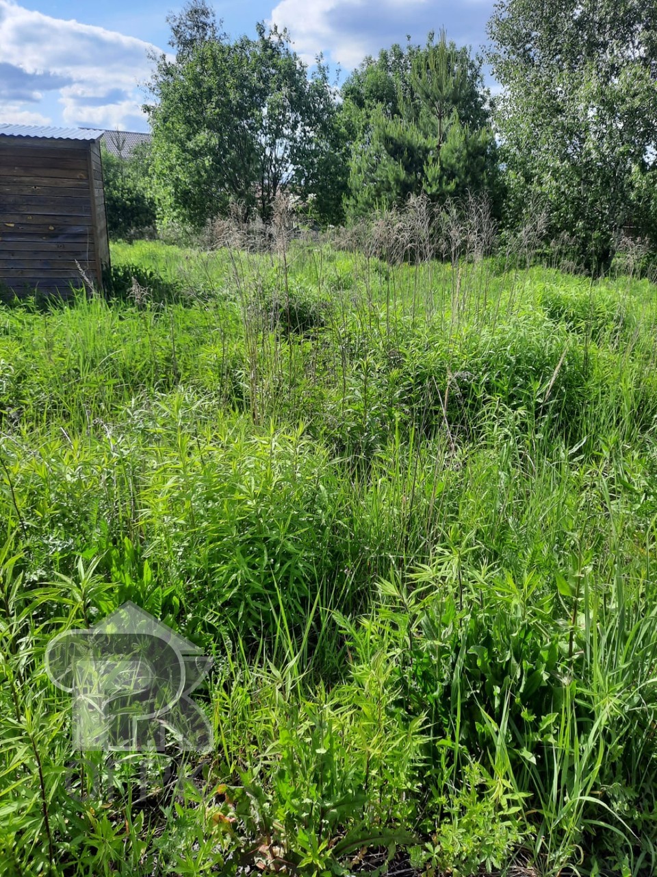 Купить землю, №386188