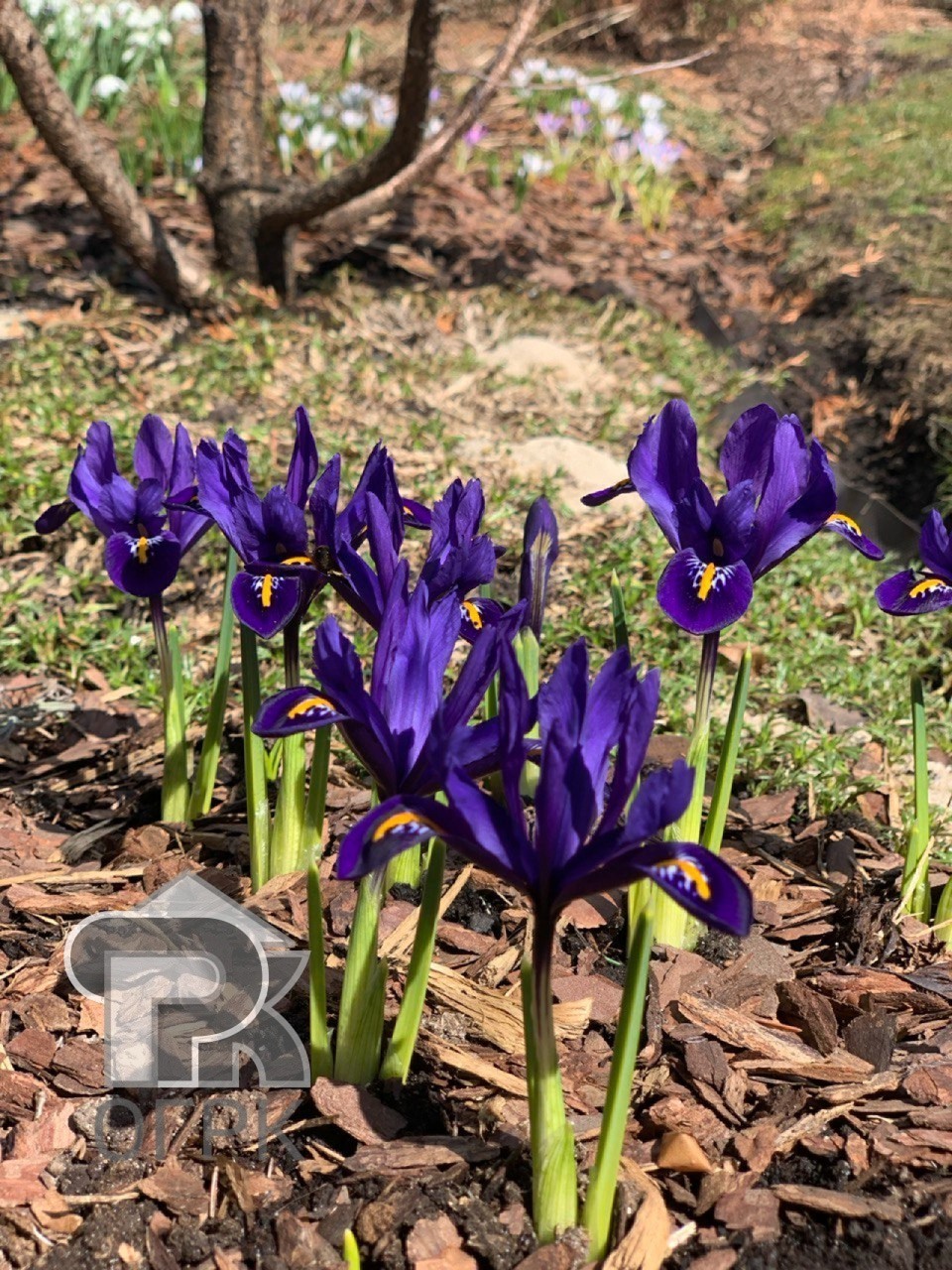 Купить коттедж, №388974