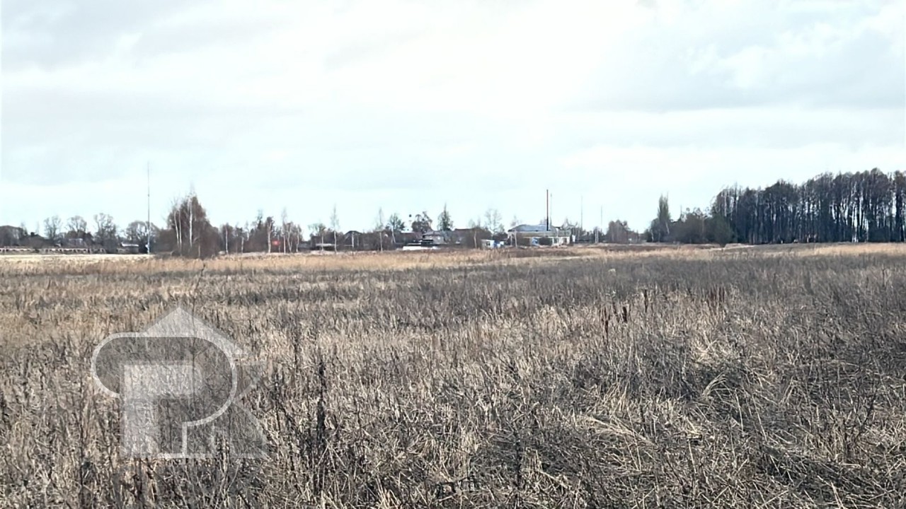 Купить землю, №386732