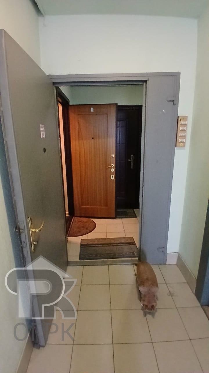 Купить 3-комнатную квартиру, №385768
