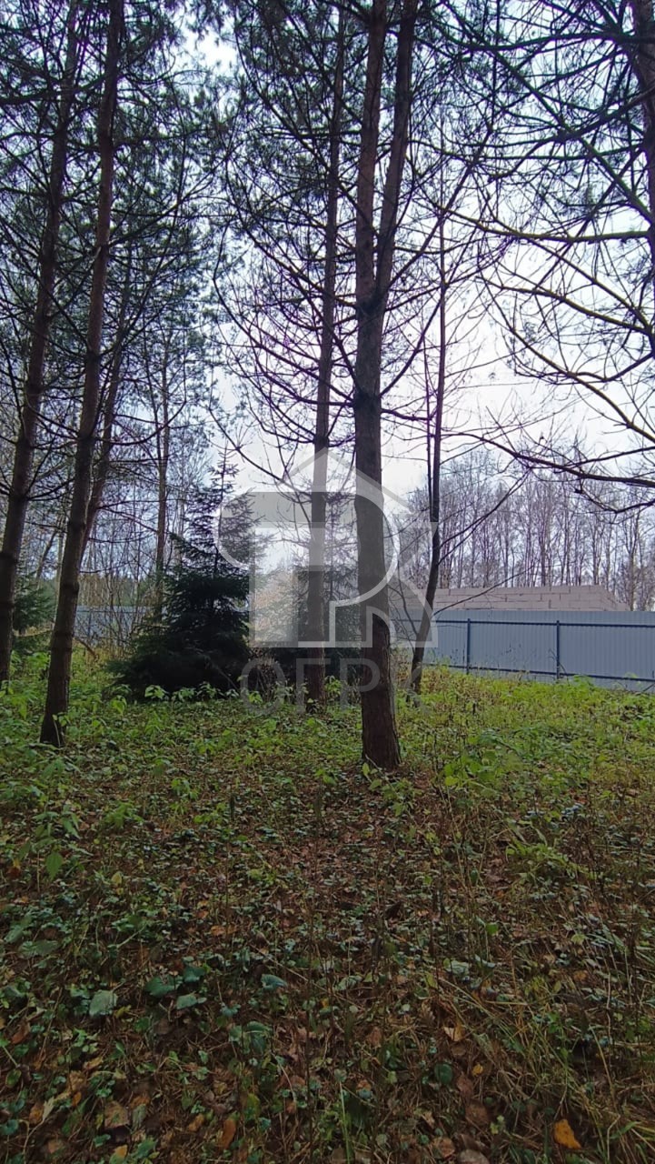 Купить землю, №384782