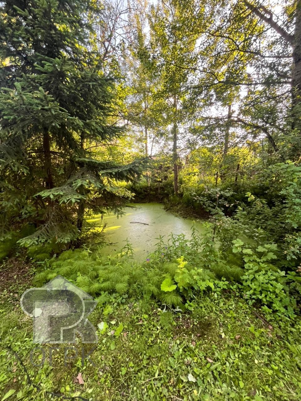 Купить землю, №386134