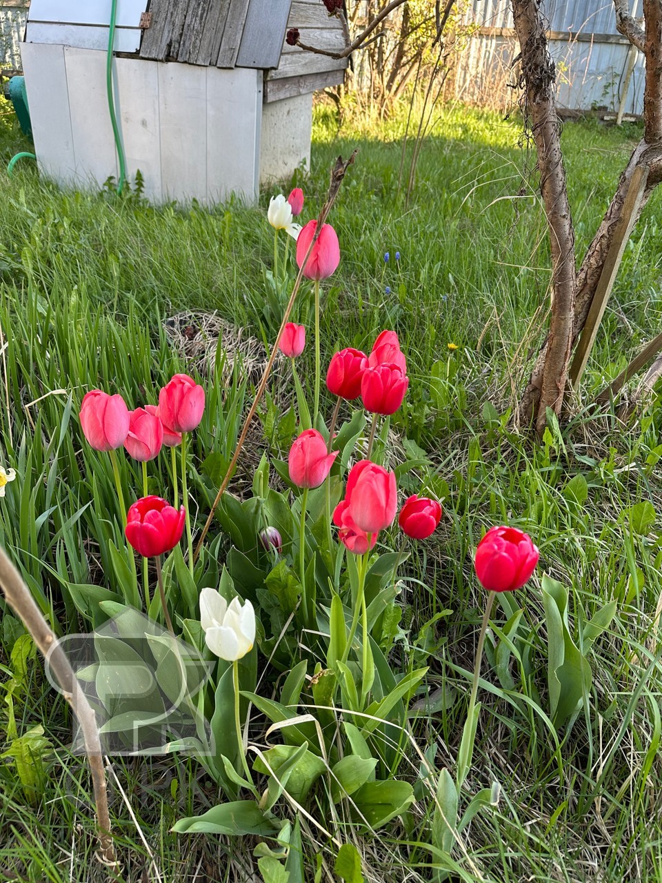 Купить дом, №385369