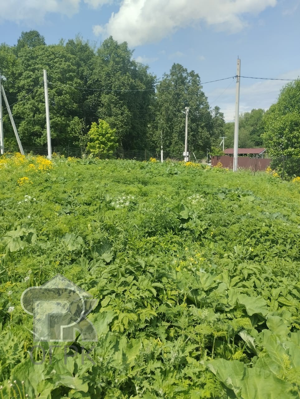 Купить землю, №385736