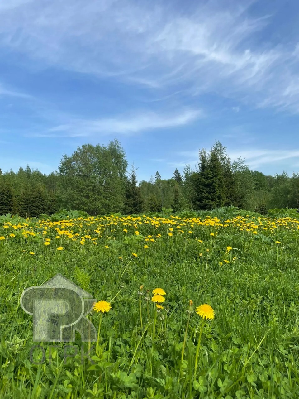 Купить землю, №390519