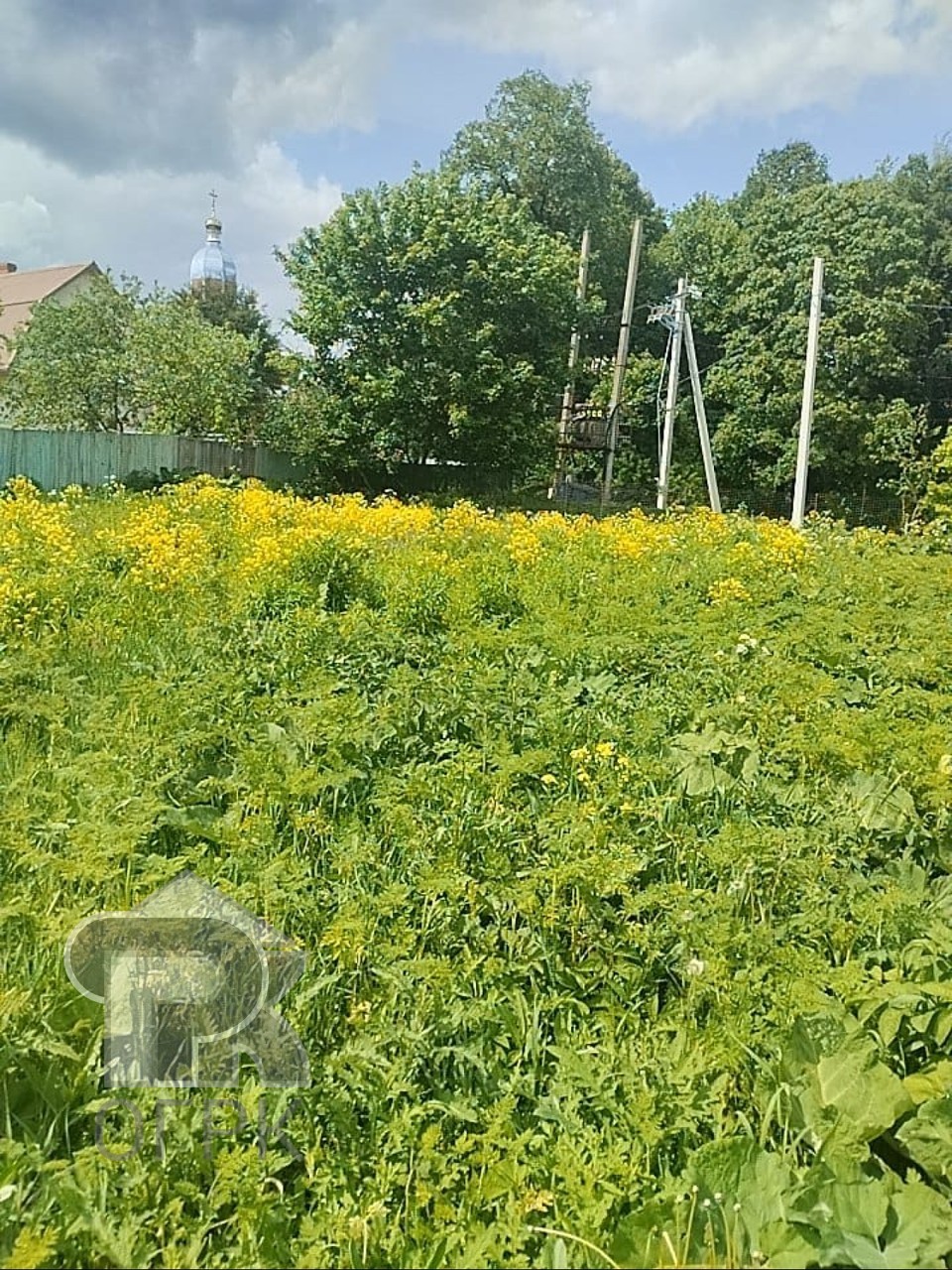 Купить землю, №385736