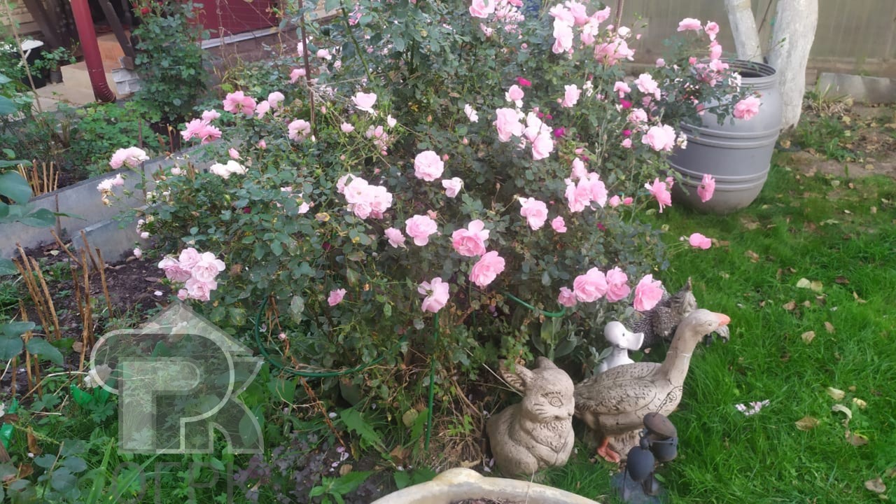 Купить дом, №386939