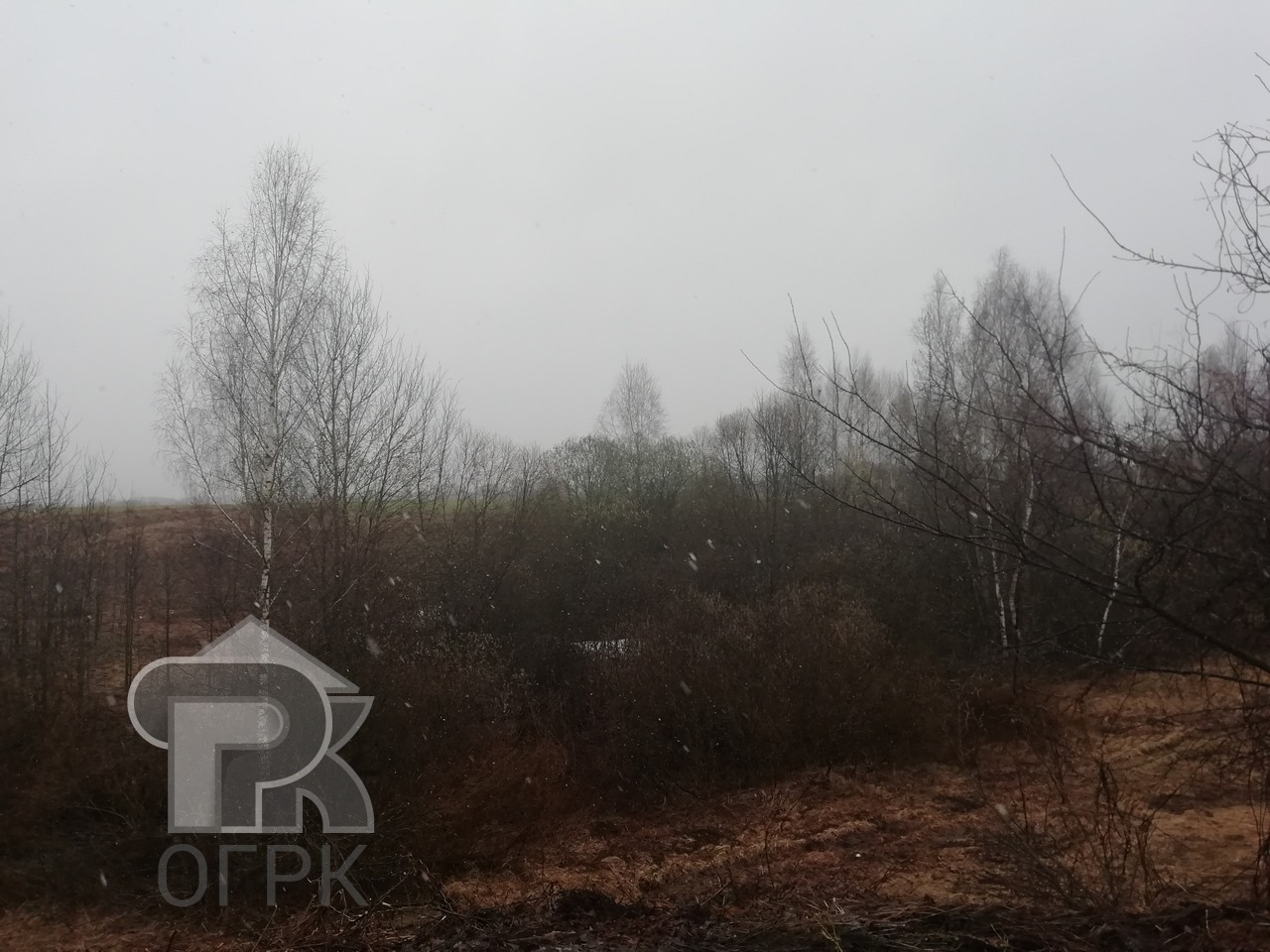 Купить землю, №389224