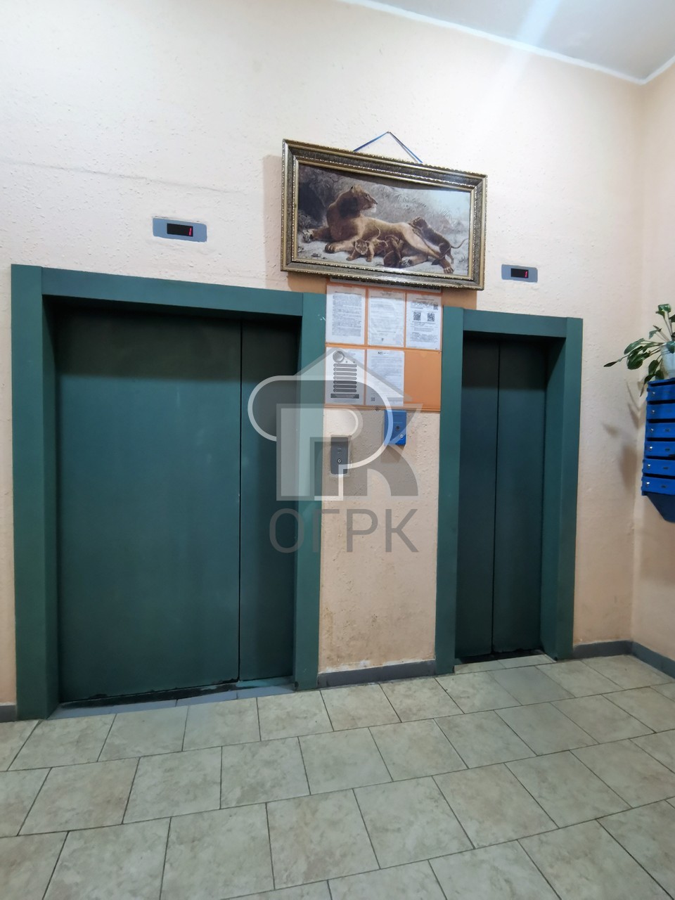 Купить 2-комнатную квартиру, №370041