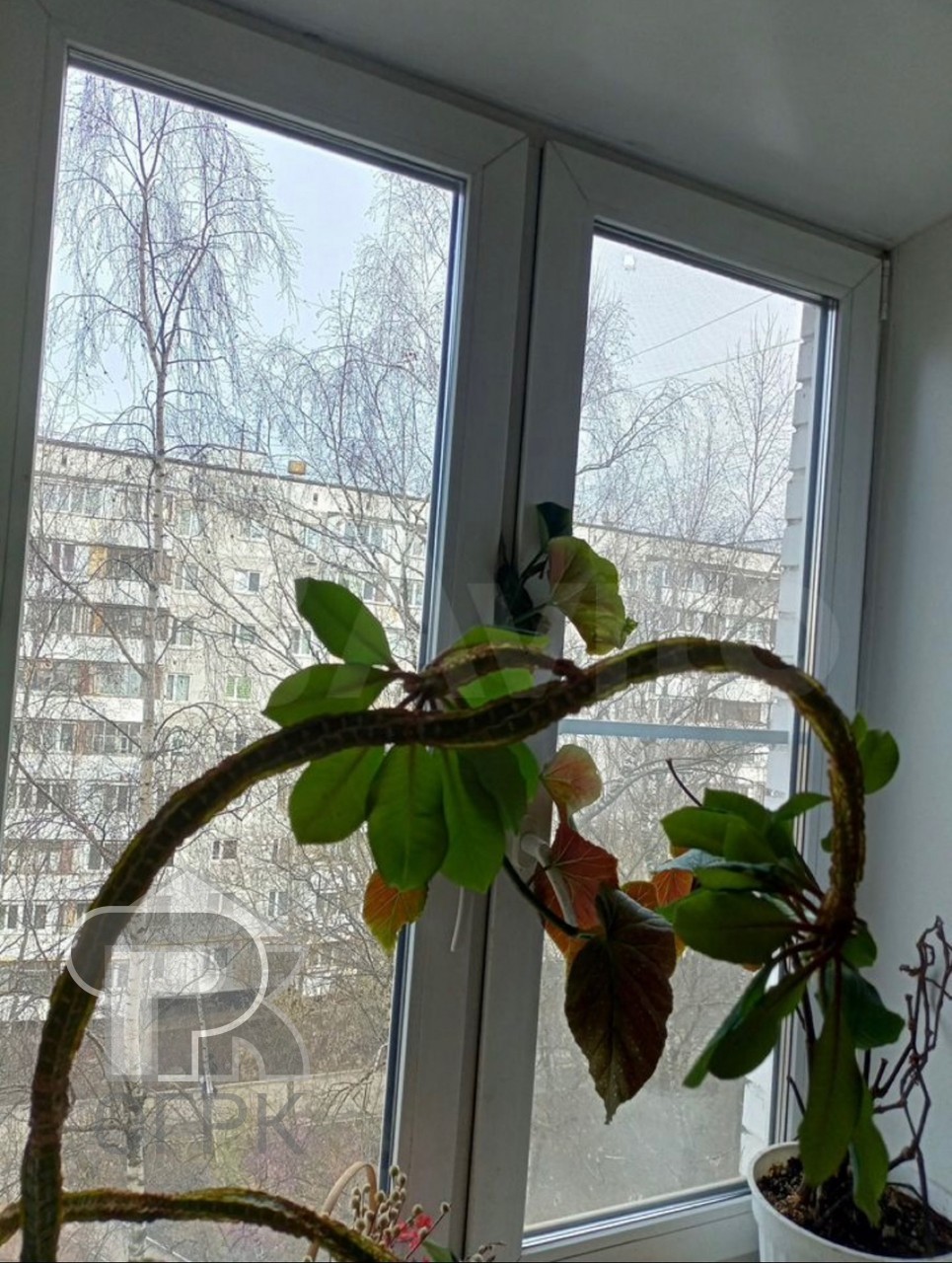 Купить 3-комнатную квартиру, №385215