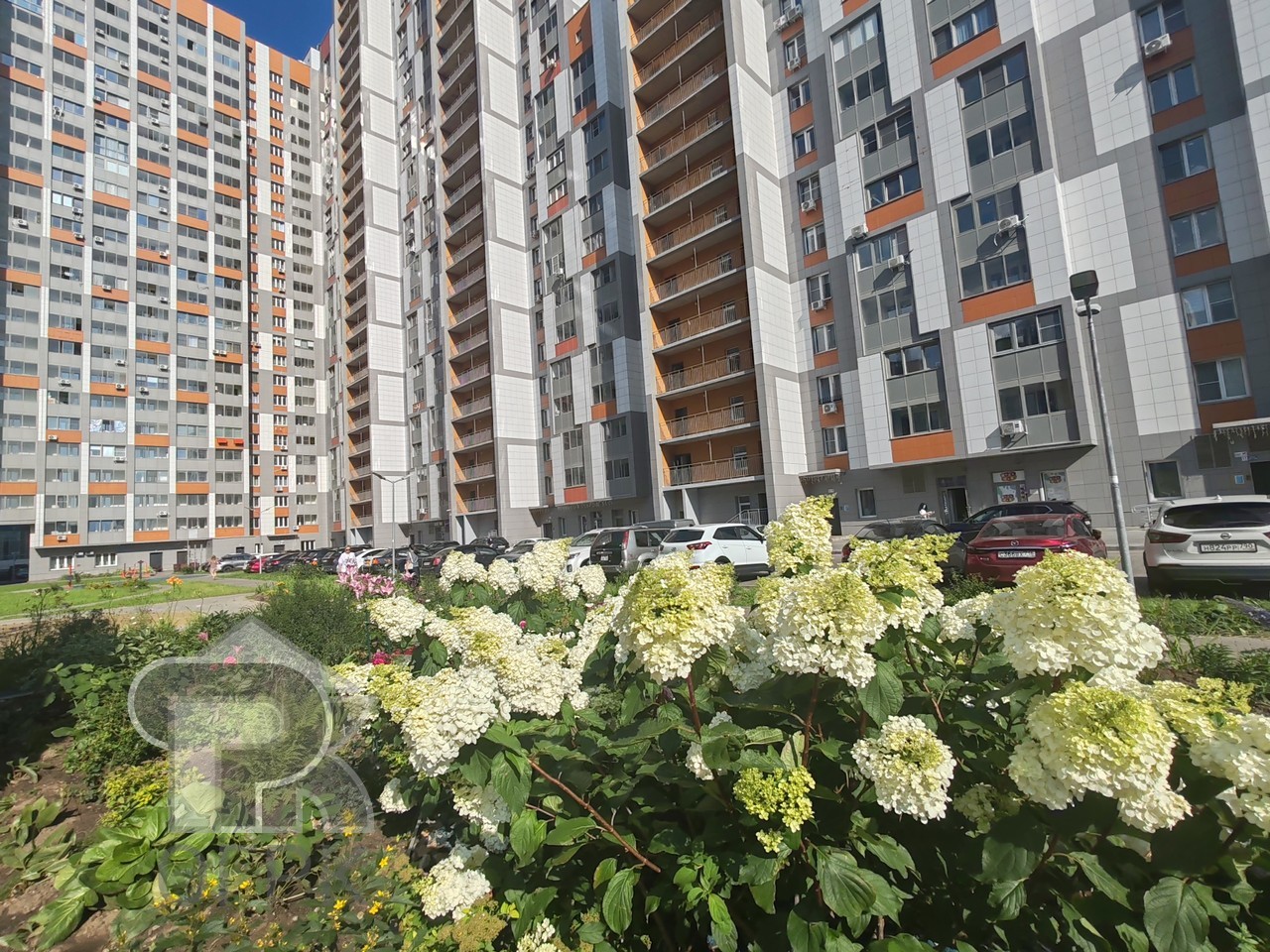 Купить 1-комнатную квартиру, №386048