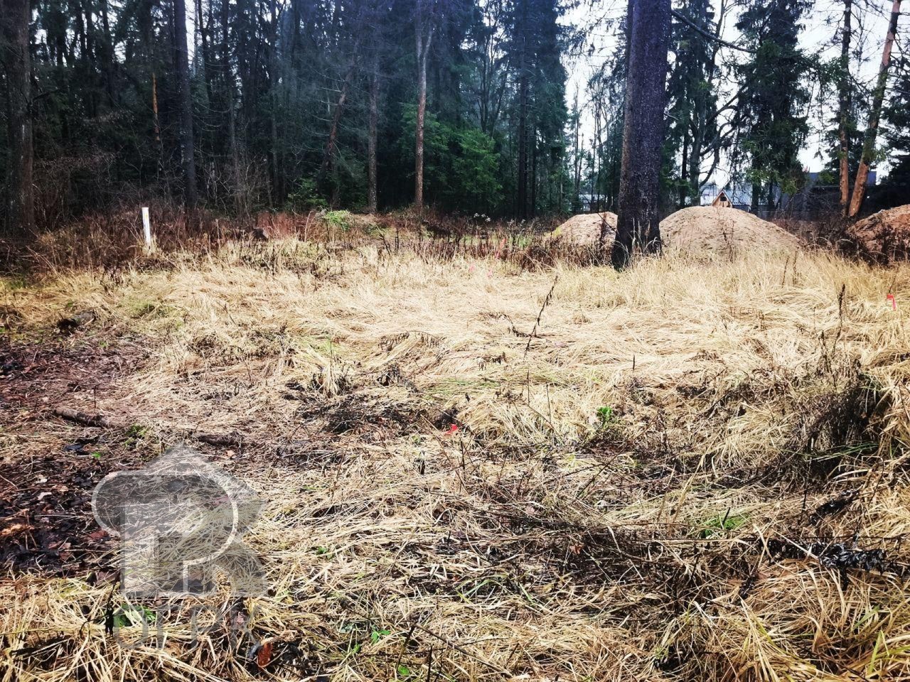 Купить землю, №381126