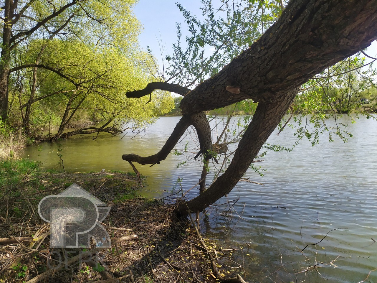 Купить дом, №385195
