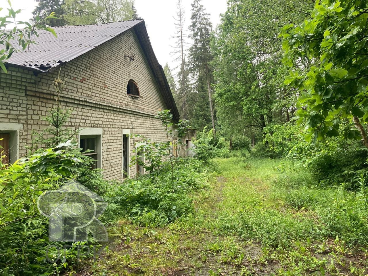 Купить землю, №384981