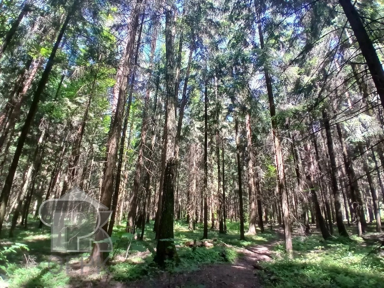 Купить 3-комнатную квартиру, №390355