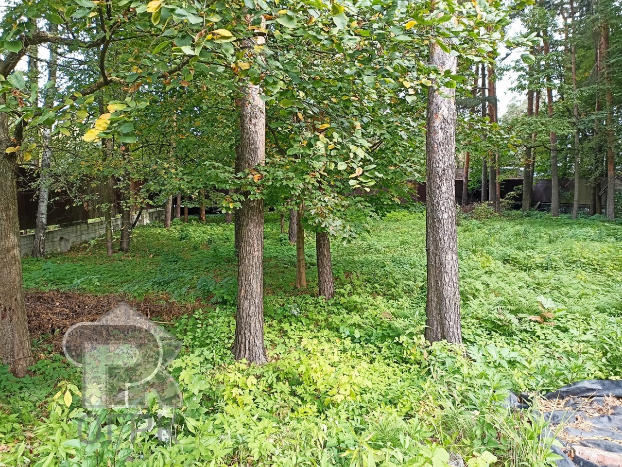 Купить землю, №386898