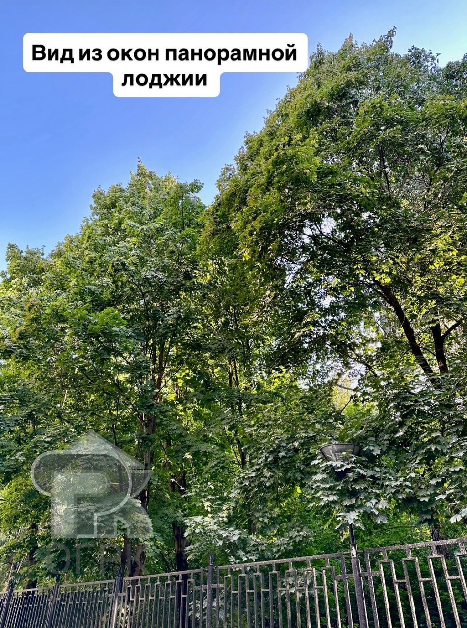 Купить студию, №383434
