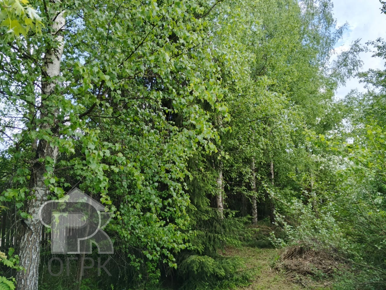 Купить дом, №385108