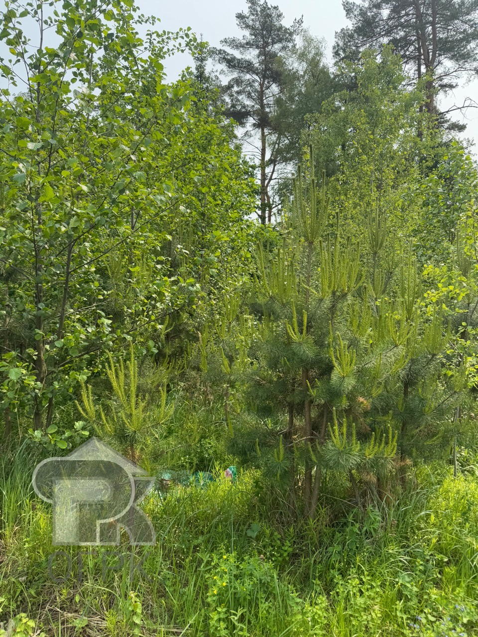 Купить землю, №383563