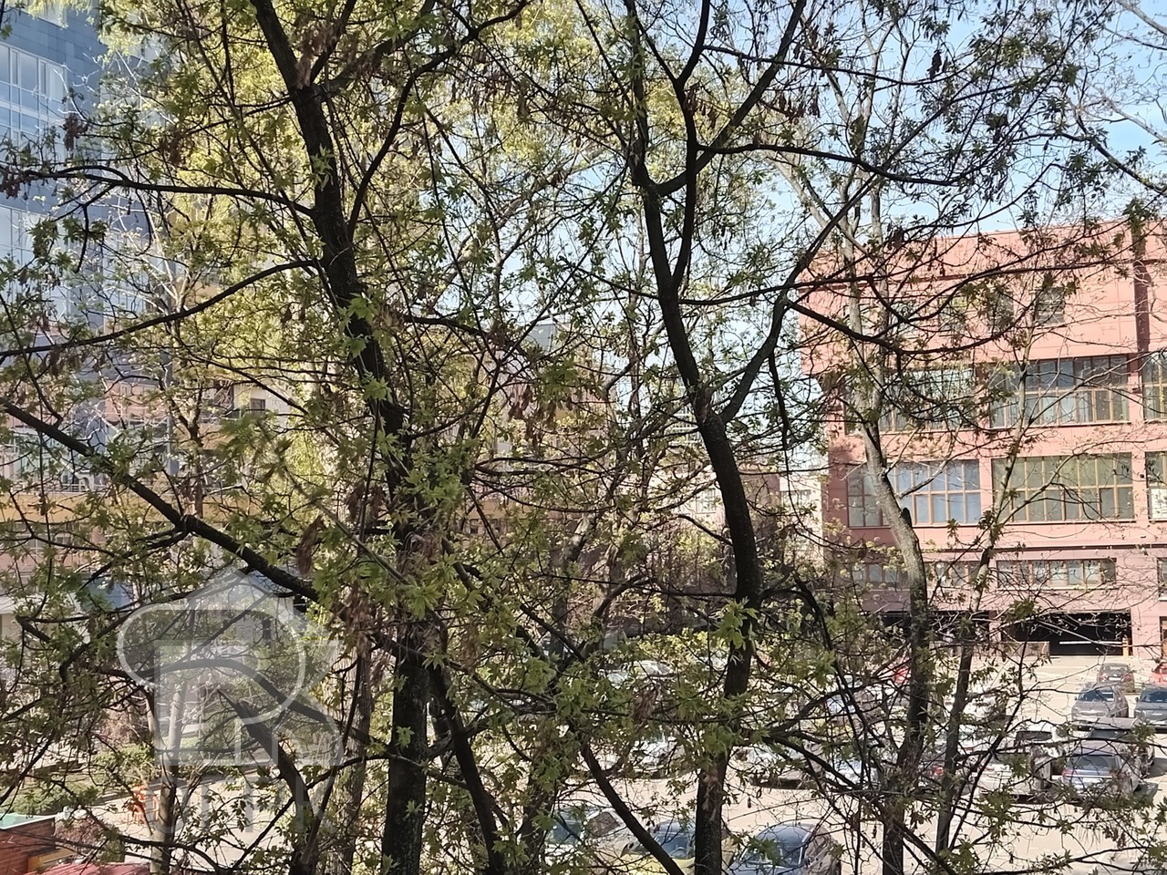 Купить 2-комнатную квартиру, №388339