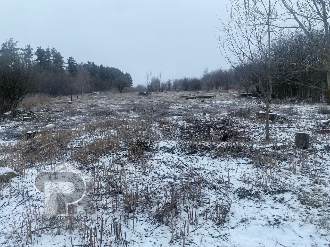 Купить землю, №384833