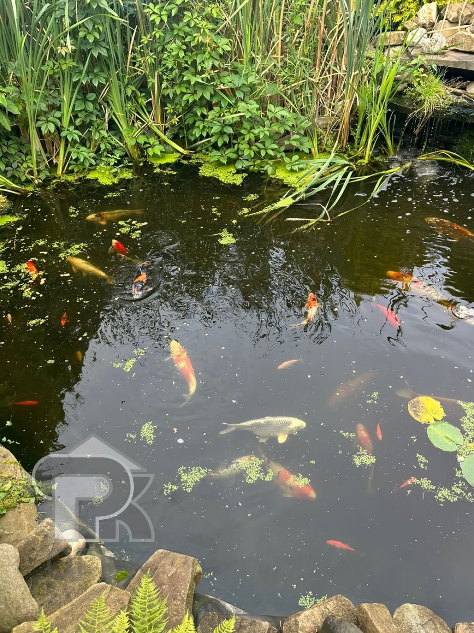 Купить дом, №387666