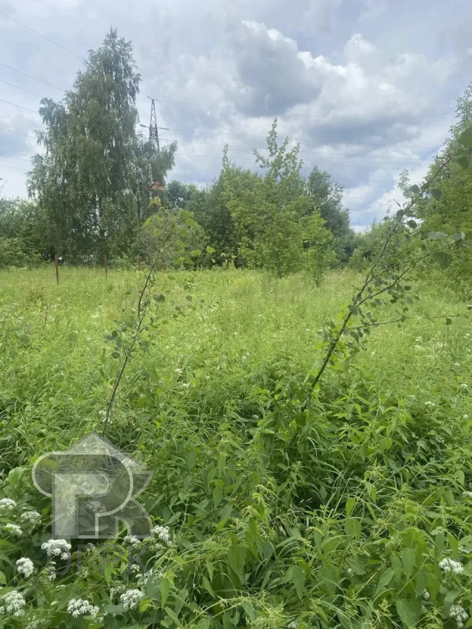 Купить землю, №388738