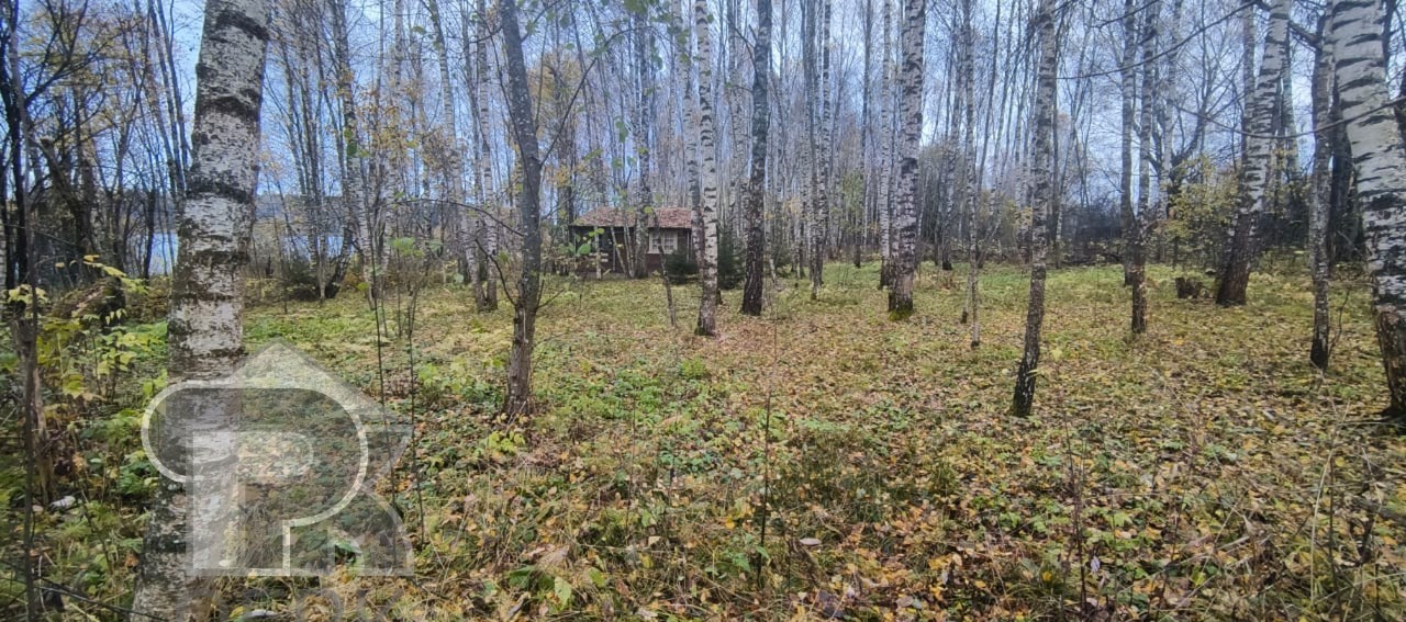 Купить землю, №387236