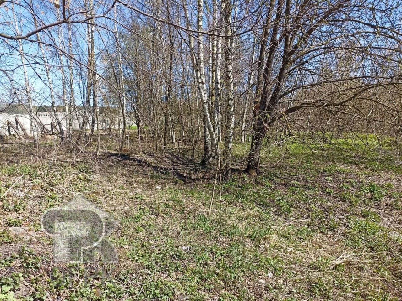 Купить землю, №386199